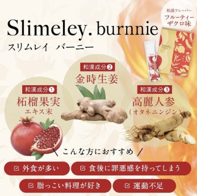 リズム株式会社【スリムレイ カッティー＆バーニー】